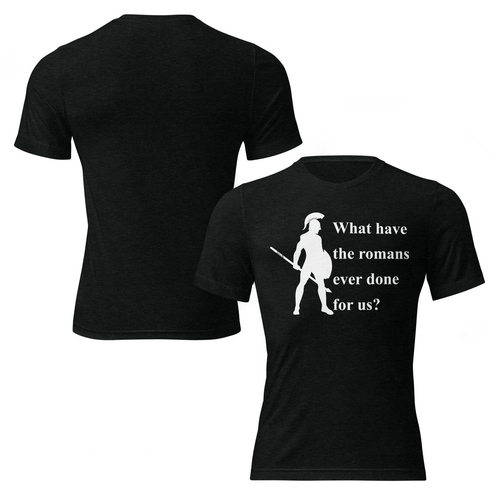 What Have The Romans Ever Done For Us?, Short sleeve t-shirt - Image 3