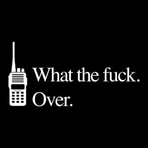 What the fuck. Over.